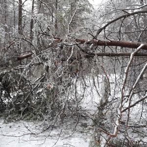 Meet your Posher, Vincent